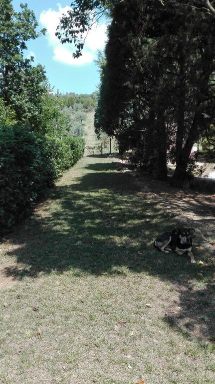 Agriturismo San Lino-Gilberto Massa Marittima Bagian luar foto