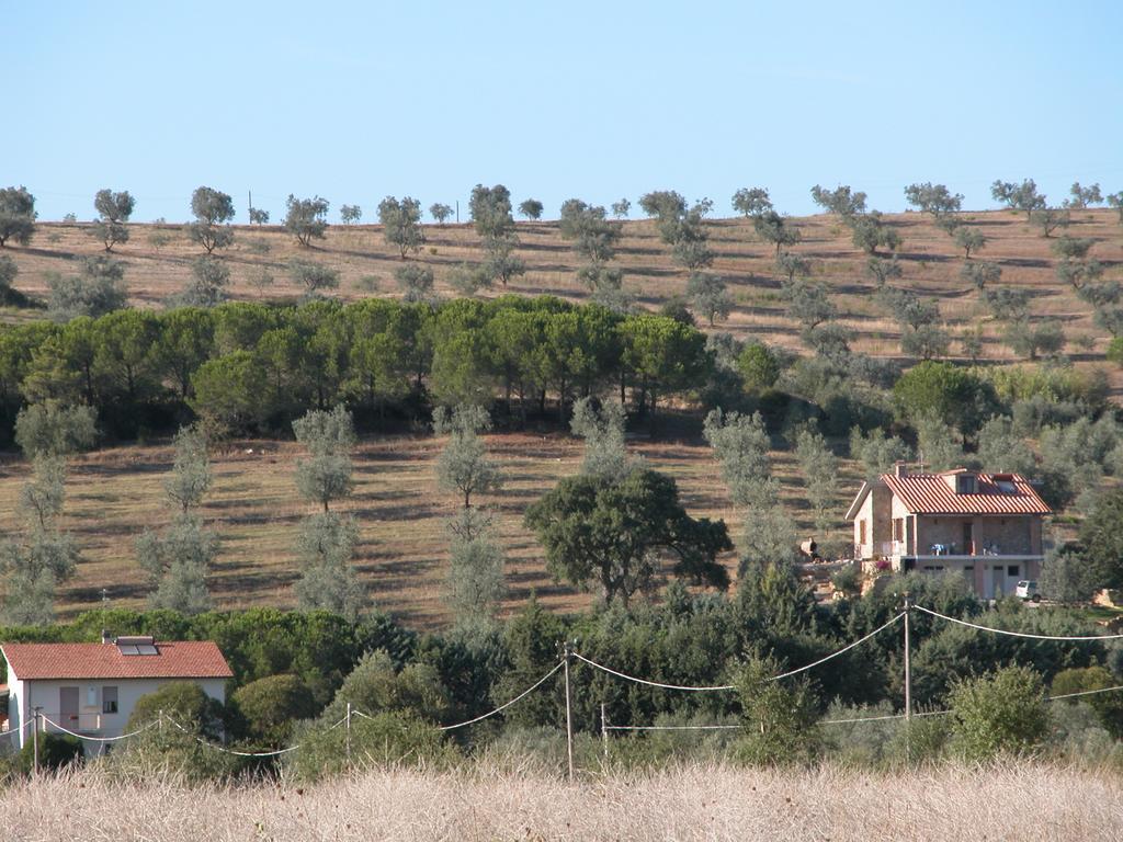 Agriturismo San Lino-Gilberto Massa Marittima Bagian luar foto