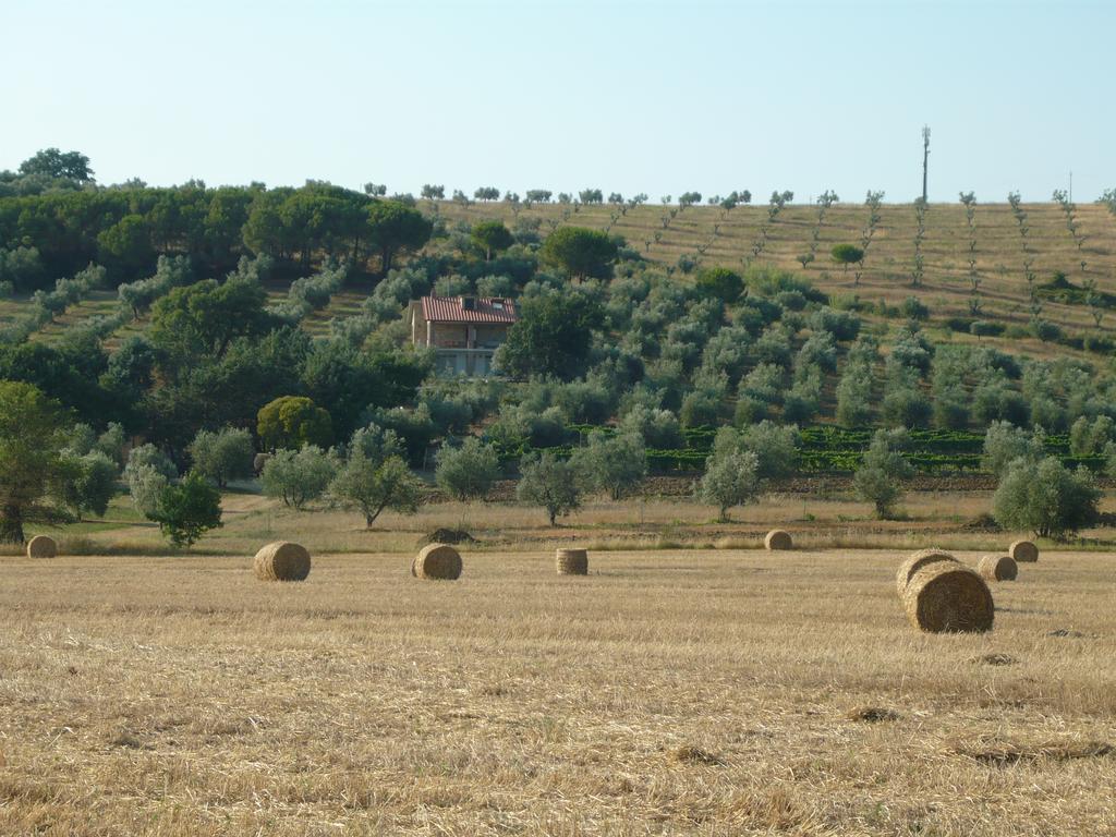 Agriturismo San Lino-Gilberto Massa Marittima Bagian luar foto